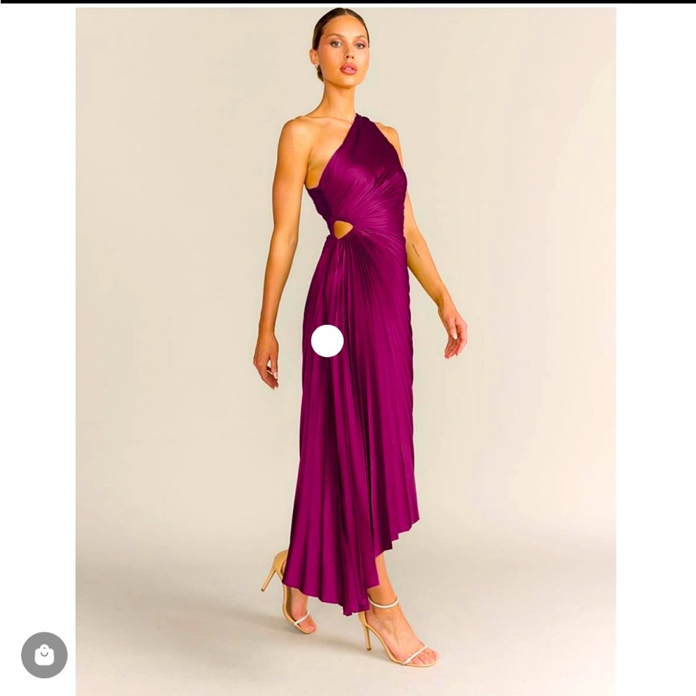 Dress Forum One Shoulder Asymmetrical Pleated Dress/Gown